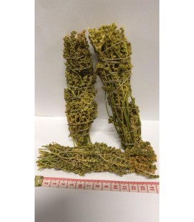 Sahumerio- Ruda 14cm (la unidad)